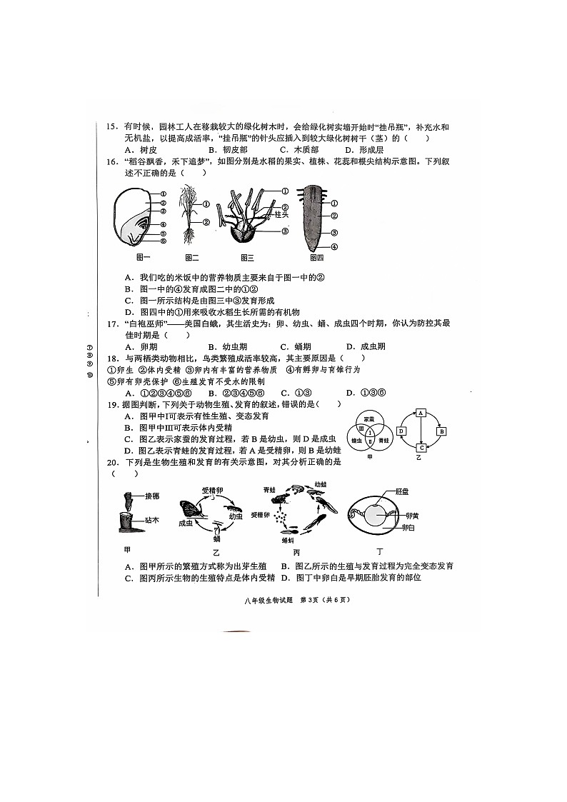 山东省菏泽市经济技术开发区2024-2025学年八年级上学期11月期中考试生物试题03