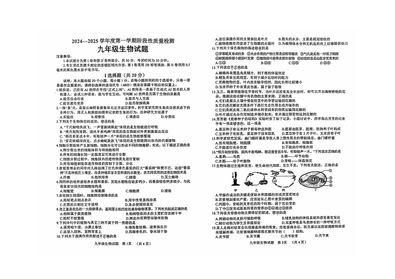山东省菏泽市鄄城县2024-2025学年 九年级上学期生物期中考试试题01