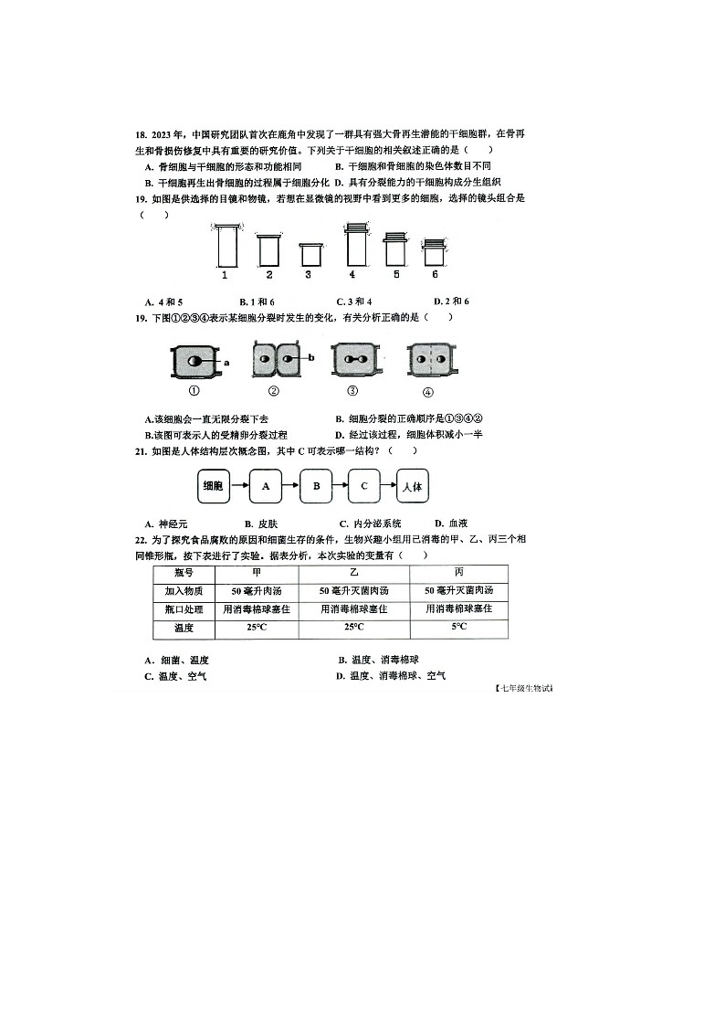 山东省乐陵市2024-2025学年七年级上学期期中考试生物试题第3页