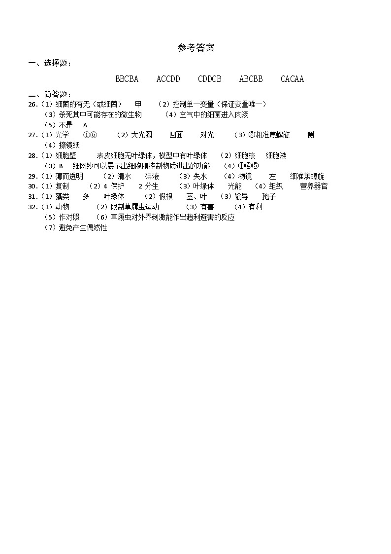 七年级答案第1页