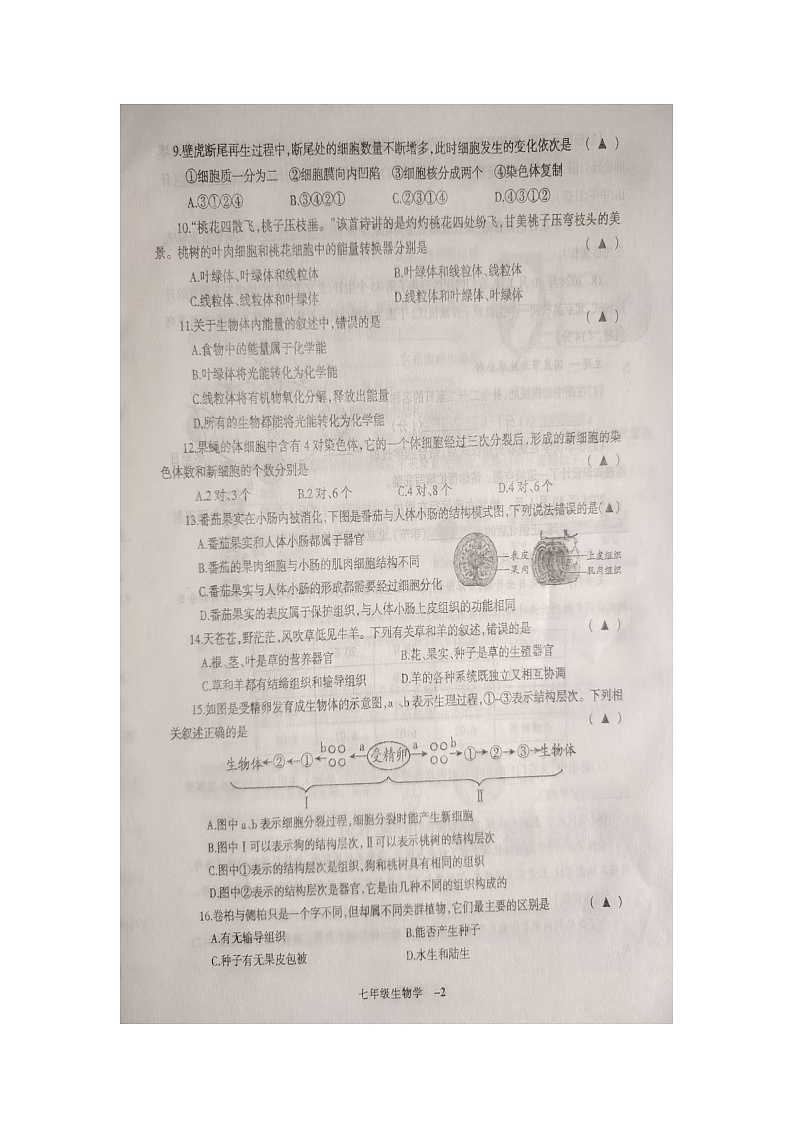 辽宁省锦州市凌海市2024-2025学年七年级上学期11月期中生物试题02