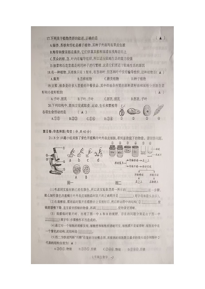 辽宁省锦州市凌海市2024-2025学年七年级上学期11月期中生物试题03