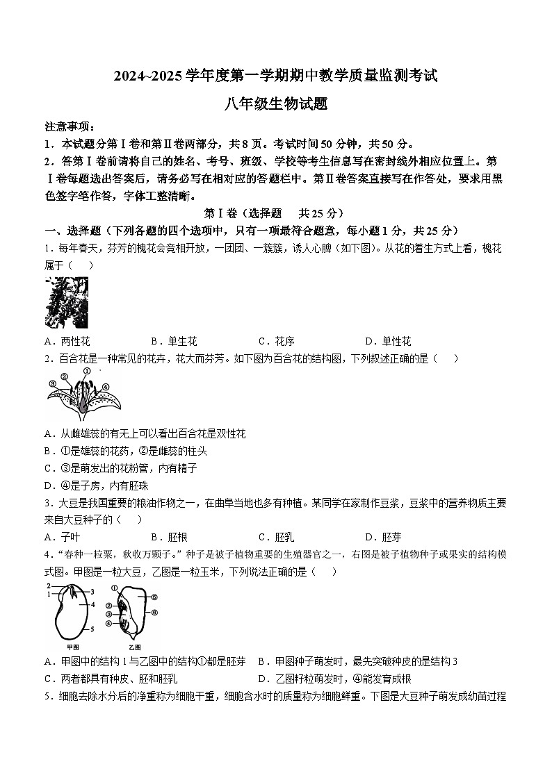 山东省济宁市曲阜市2024-2025学年八年级上学期期中生物试题第1页