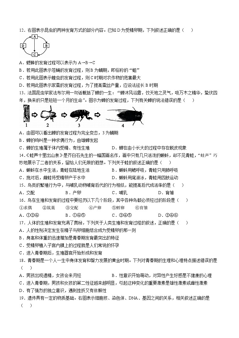 山东省济宁市曲阜市2024-2025学年八年级上学期期中生物试题第3页