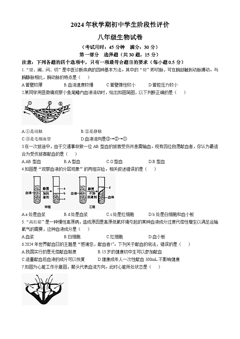 江苏省泰州市兴化市2024-2025学年八年级上学期期中生物试题第1页