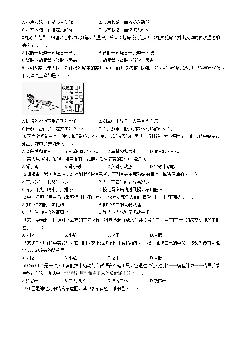 江苏省泰州市兴化市2024-2025学年八年级上学期期中生物试题第2页