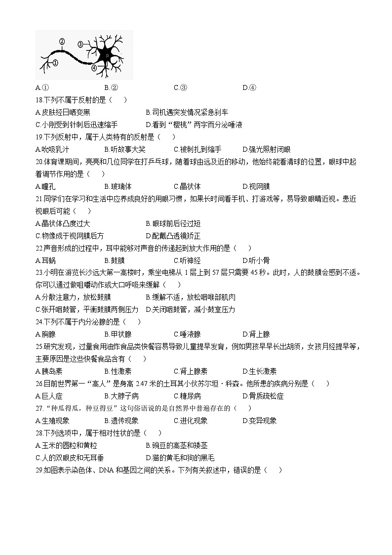 江苏省泰州市兴化市2024-2025学年八年级上学期期中生物试题第3页