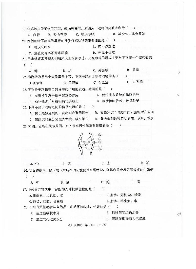 广东省恩平市2024-2025学年八年级上学期期中考试生物试卷第3页
