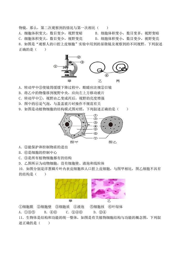 山东省滨州市无棣县2024-2025学年七年级上学期期中生物试题第2页