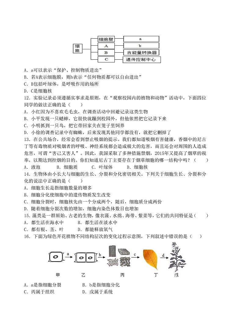 山东省滨州市无棣县2024-2025学年七年级上学期期中生物试题第3页