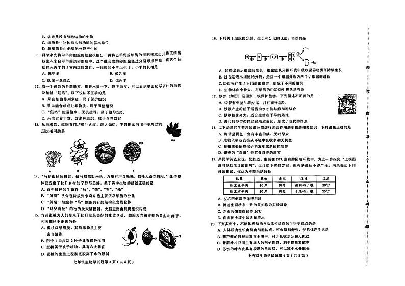 山东省潍坊市诸城市2024--2025学年七年级上学期期中考试生物试题第2页