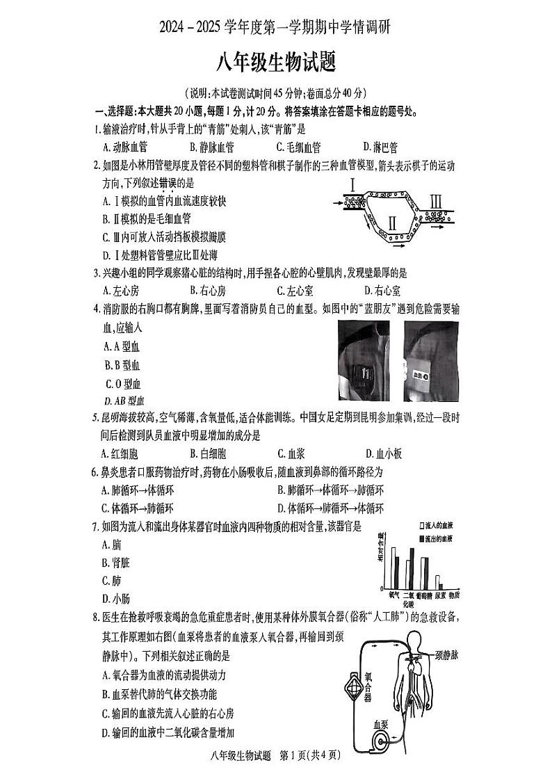 江苏省徐州市丰县2024-2025学年上学期期中考试八年级生物试题第1页