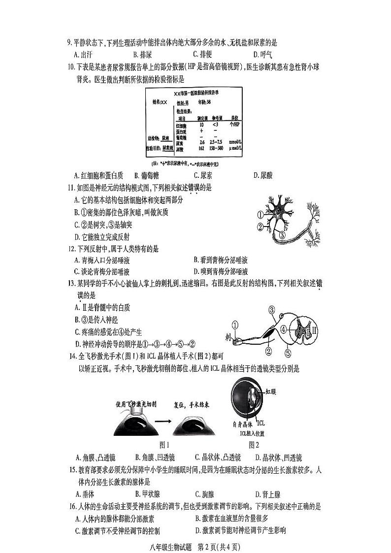 江苏省徐州市丰县2024-2025学年上学期期中考试八年级生物试题第2页