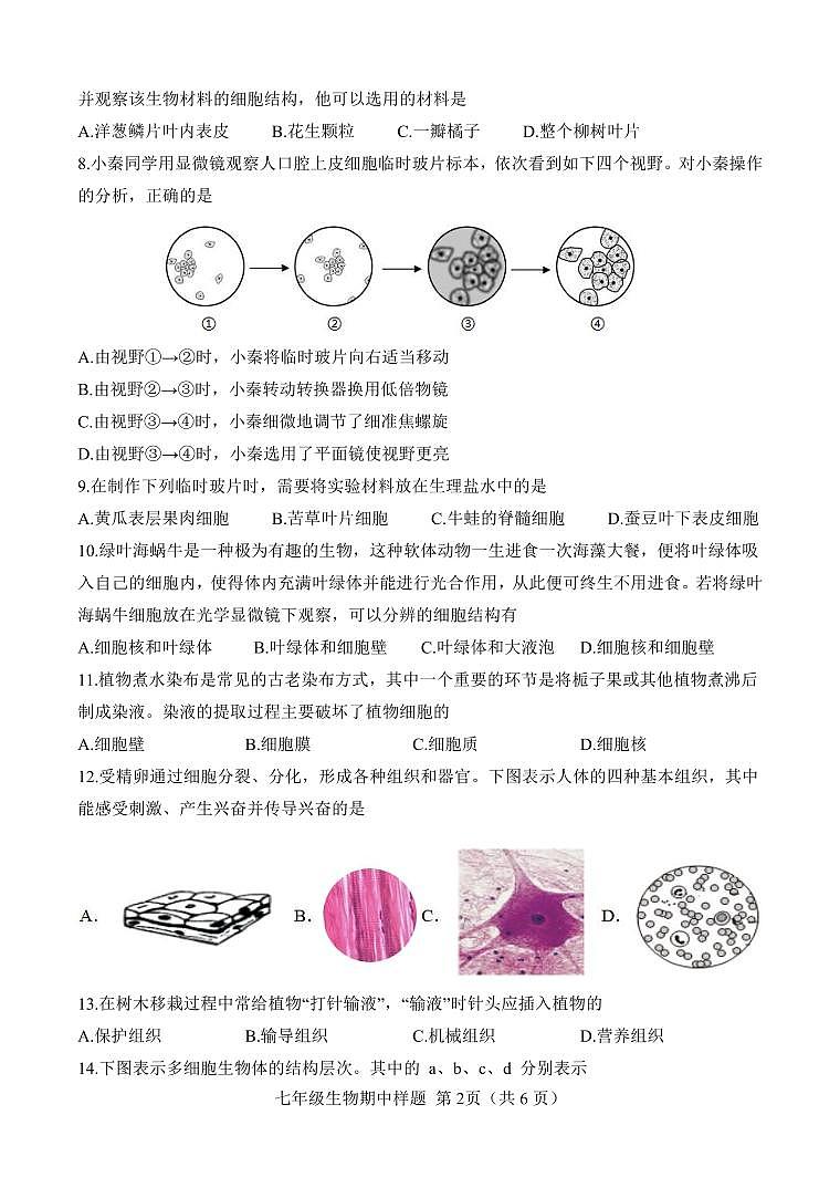 山东省菏泽市定陶区2024--2025学年七年级上学期11月期中考试生物试题第2页