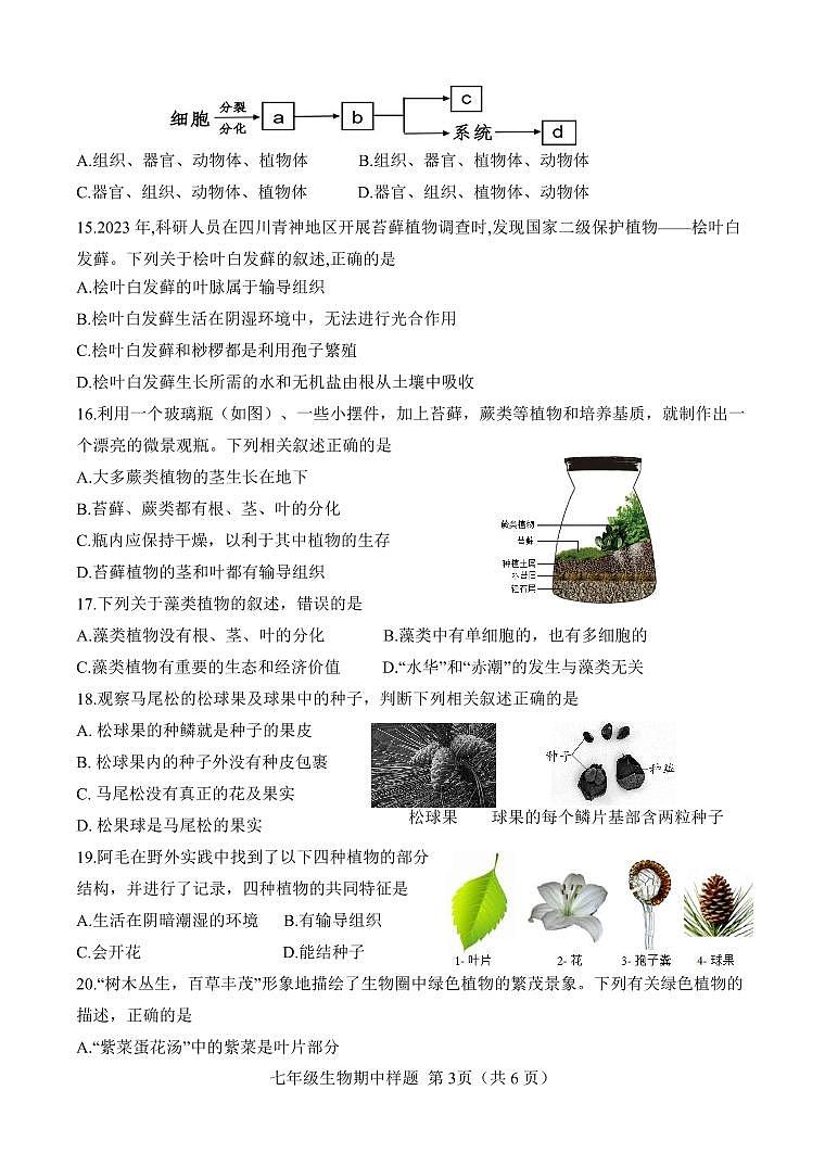 山东省菏泽市定陶区2024--2025学年七年级上学期11月期中考试生物试题第3页