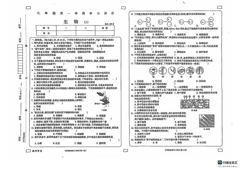 山东省德州市宁津县第四实验中学多校2024-2025学年七年级上学期11月期中生物试题01