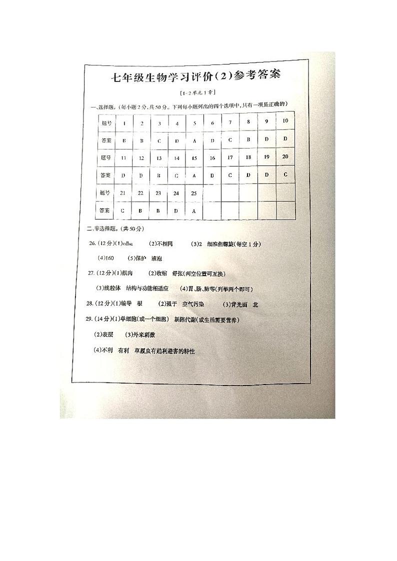 山东省德州市宁津县第四实验中学多校2024-2025学年七年级上学期11月期中生物试题01