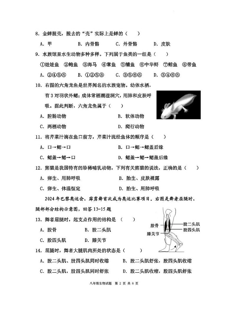 福建省宁德市霞浦县2024-2025学年八年级上学期期中考试生物试卷02
