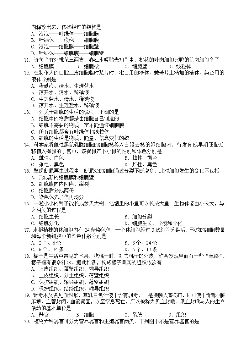 2024-2025学年度潮州第一学期七年级生物期中质量检测含答案第2页