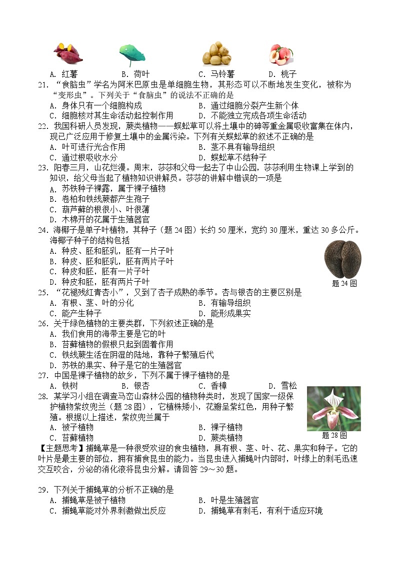 2024-2025学年度潮州第一学期七年级生物期中质量检测含答案第3页