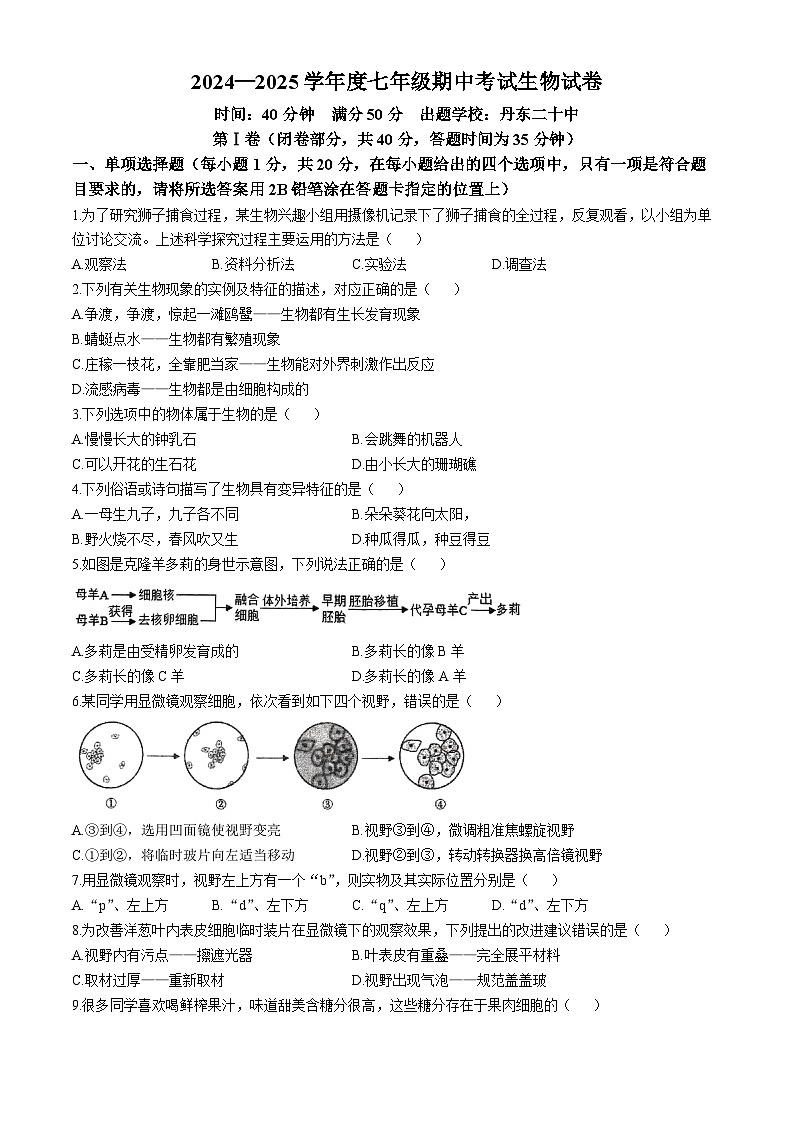 辽宁省丹东市多校联考2024-2025学年七年级上学期期中生物试题(无答案)01