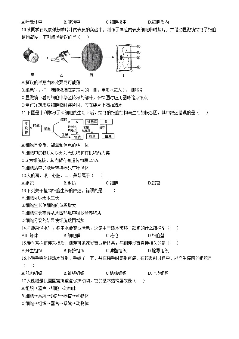 辽宁省丹东市多校联考2024-2025学年七年级上学期期中生物试题(无答案)02