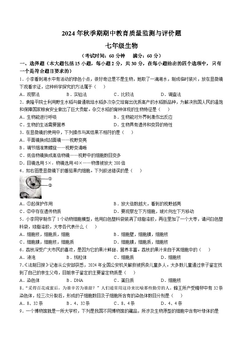 广西玉林市2024-2025学年七年级上学期期中生物试题(无答案)01