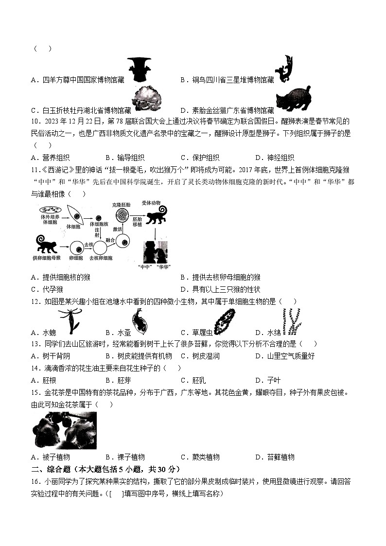 广西玉林市2024-2025学年七年级上学期期中生物试题(无答案)02