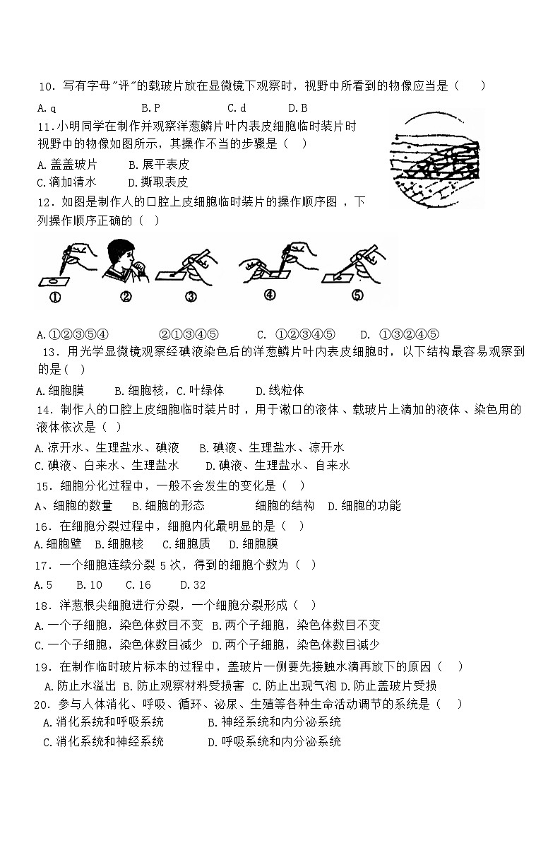 广东省肇庆市颂德学校2024-2025学年七年级上学期期中考试生物试题第2页