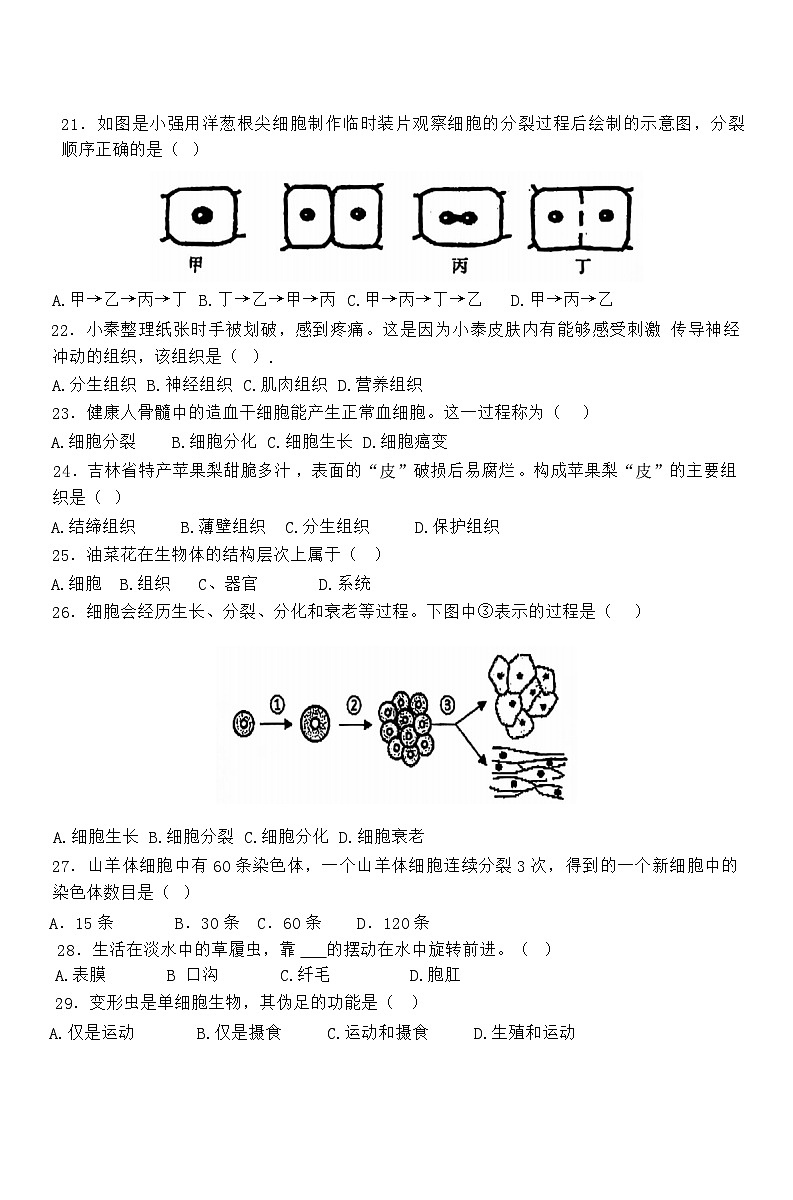 广东省肇庆市颂德学校2024-2025学年七年级上学期期中考试生物试题第3页