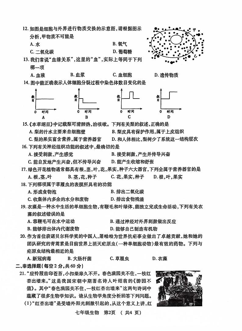 湖北省荆州市沙市区2024-2025学年七年级上学期11月期中生物试题第2页