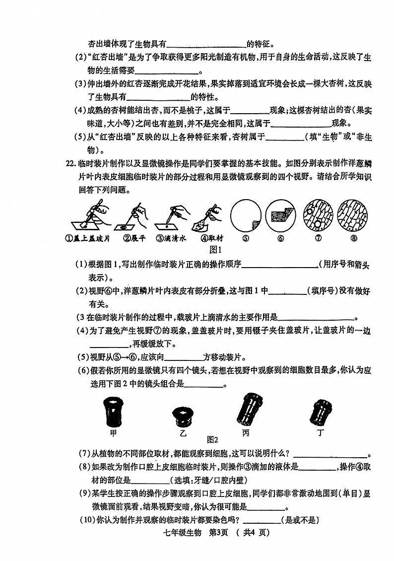 湖北省荆州市沙市区2024-2025学年七年级上学期11月期中生物试题第3页