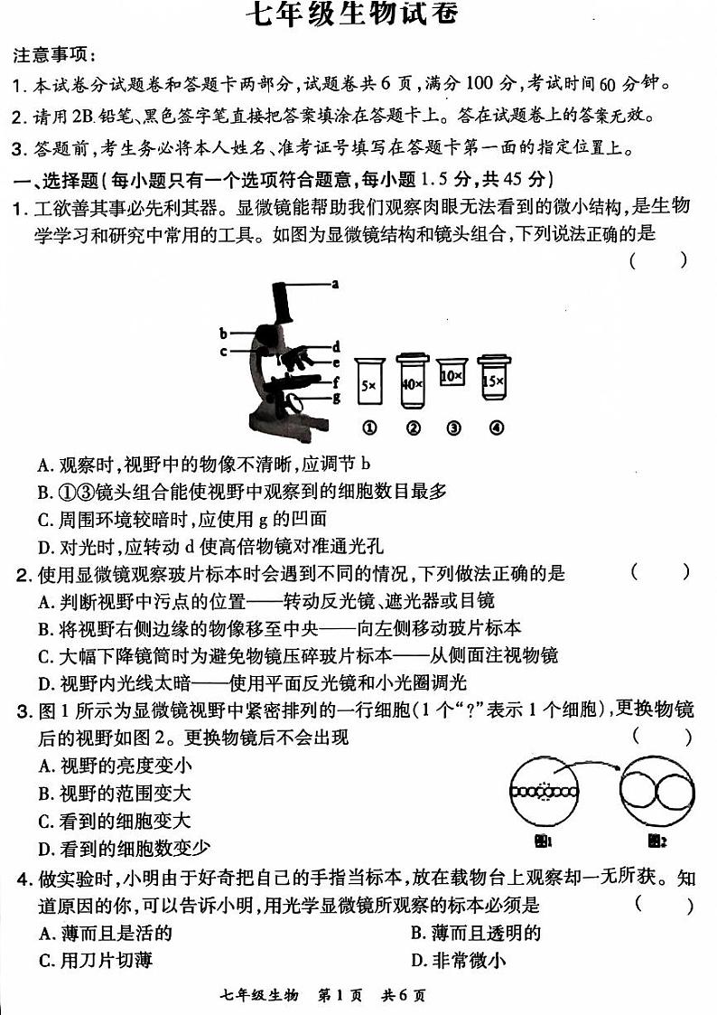 2024-2025洛阳市老城区七上11月期中考试生物试卷01