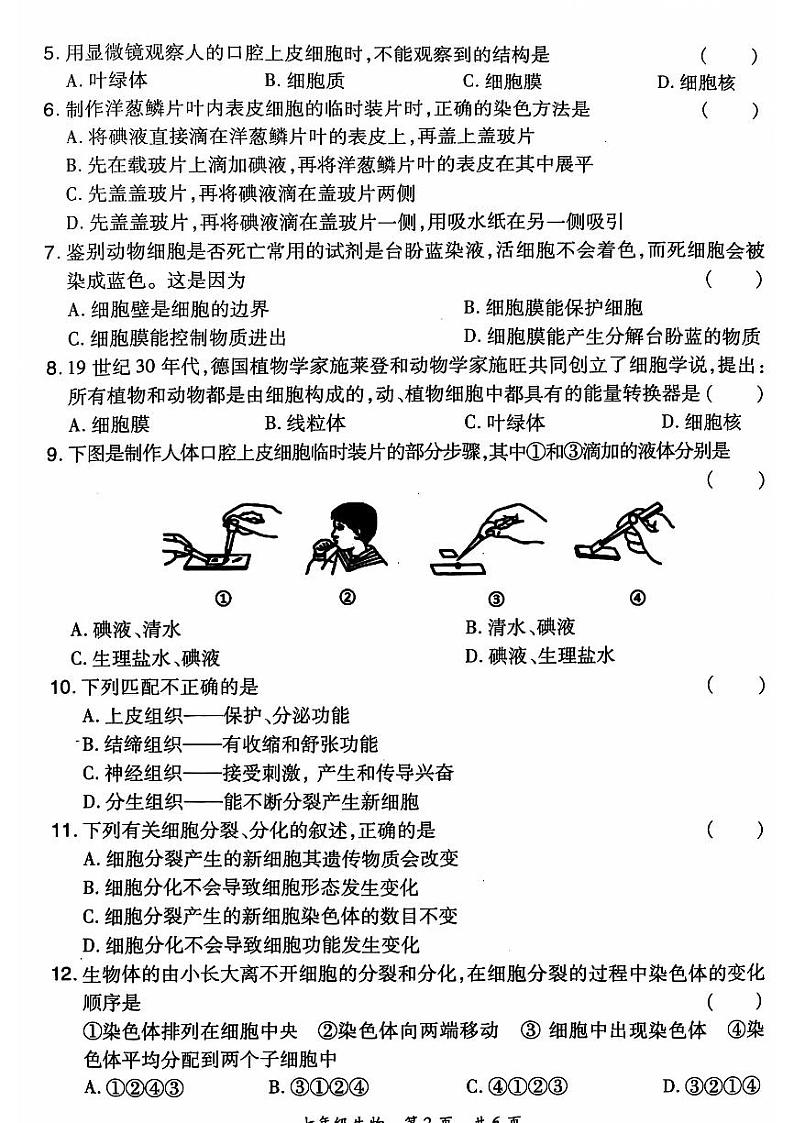 2024-2025洛阳市老城区七上11月期中考试生物试卷02