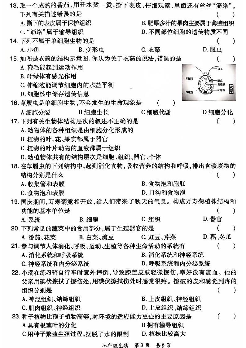 2024-2025洛阳市老城区七上11月期中考试生物试卷03