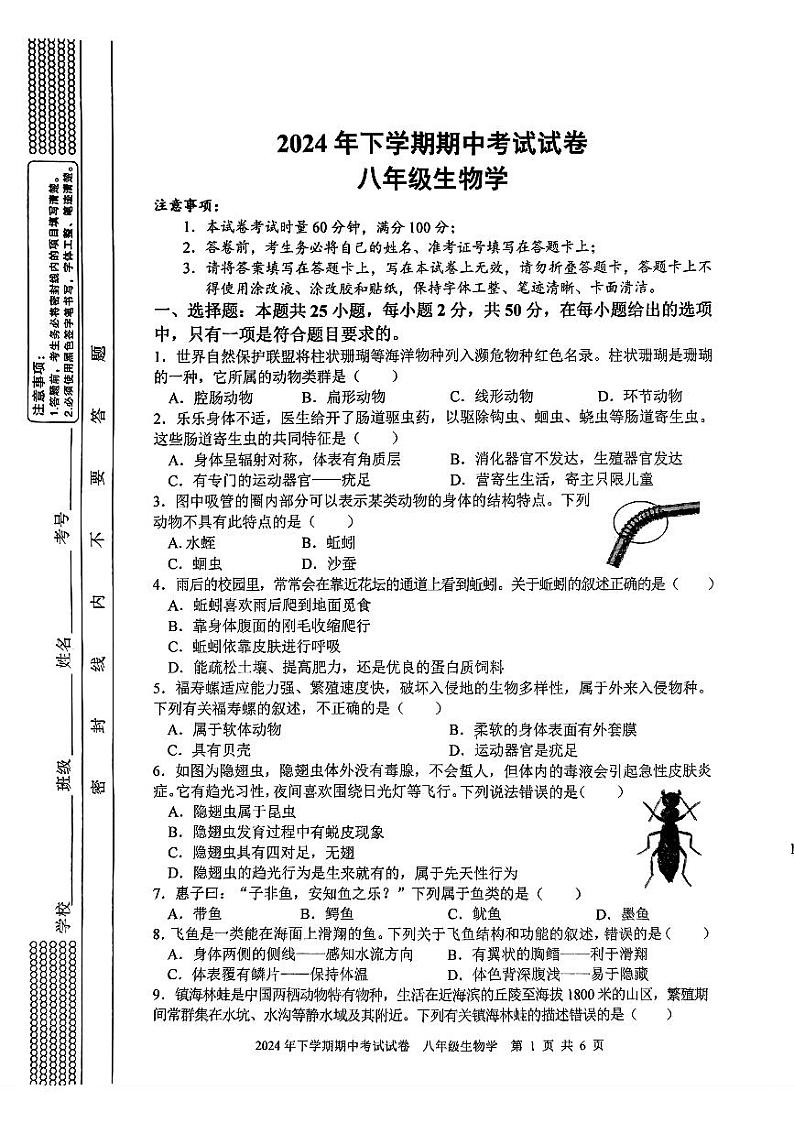 湖南省邵阳市邵东市2024-2025学年八年级上学期期中考试生物试卷01