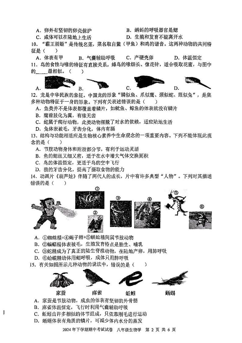 湖南省邵阳市邵东市2024-2025学年八年级上学期期中考试生物试卷02