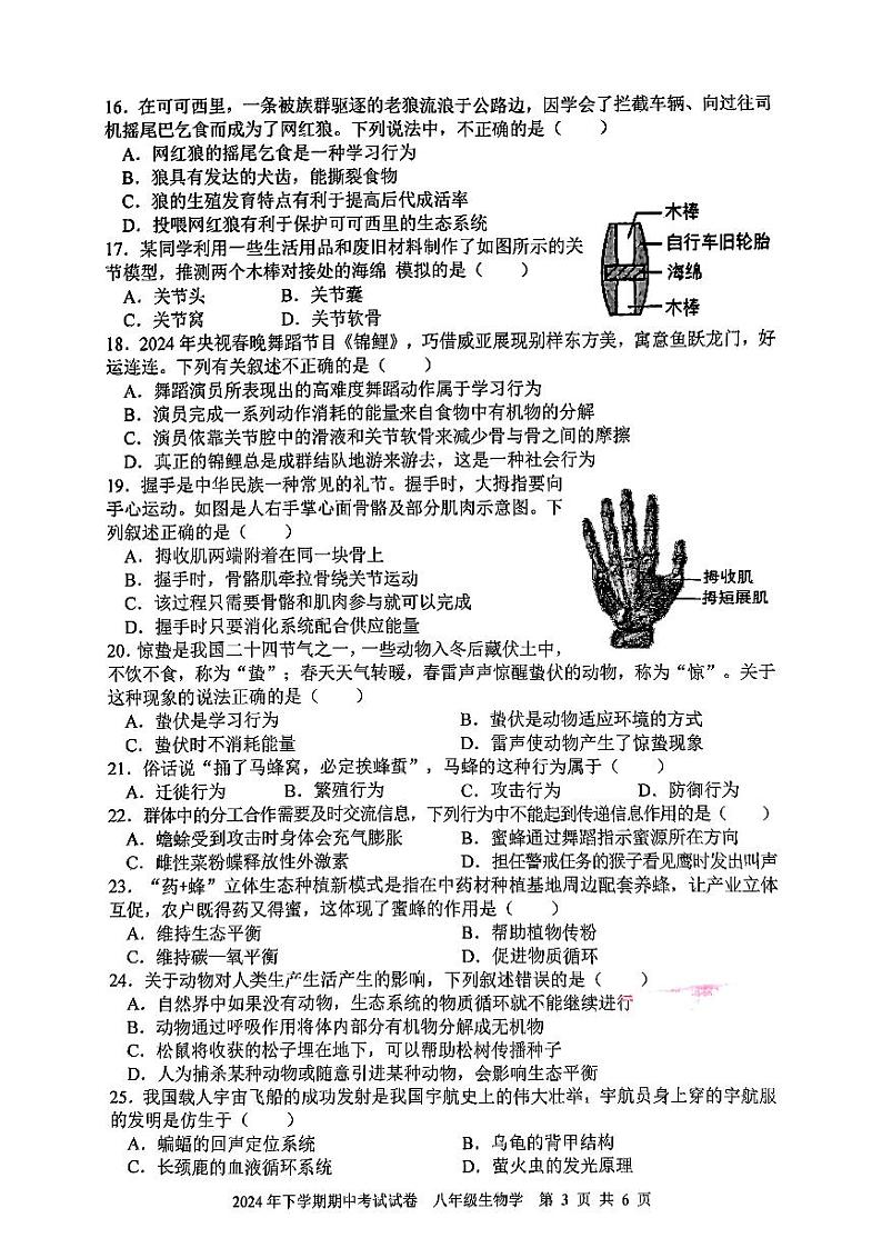 湖南省邵阳市邵东市2024-2025学年八年级上学期期中考试生物试卷03
