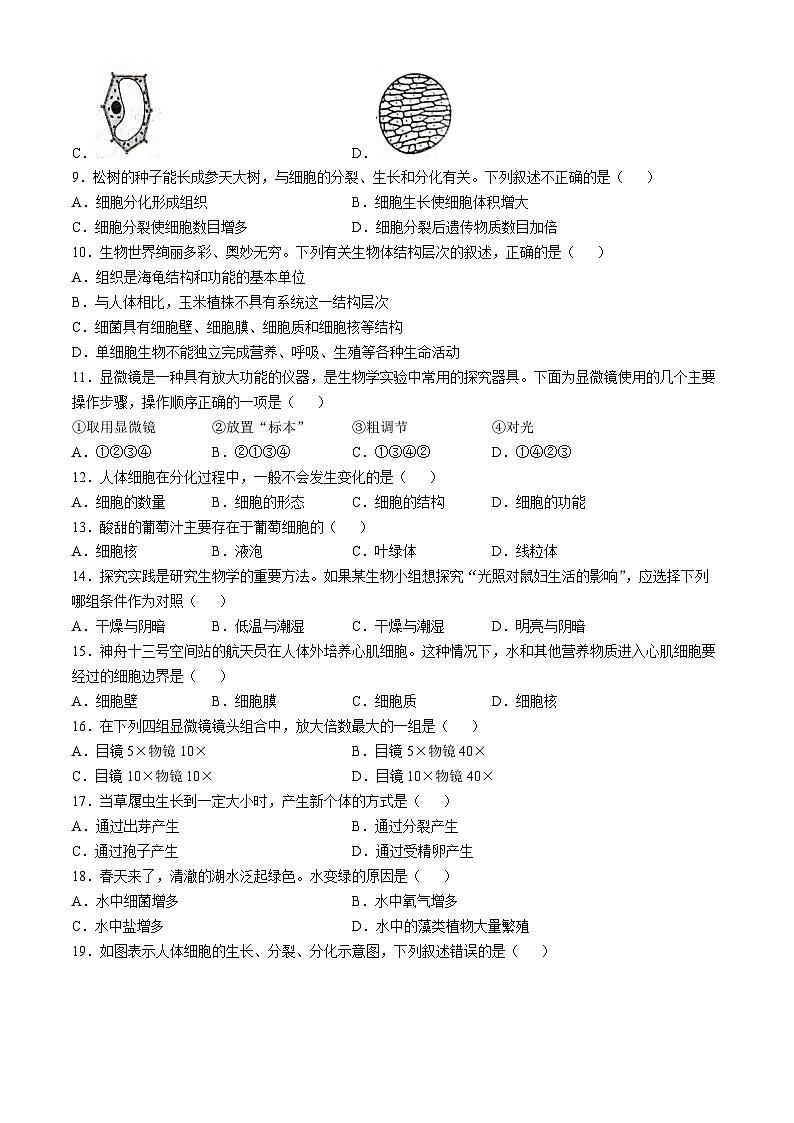 河北省石家莊市欒城區(qū)2024-2025學(xué)年七年級上學(xué)期期中生物試題(無答案)第2頁