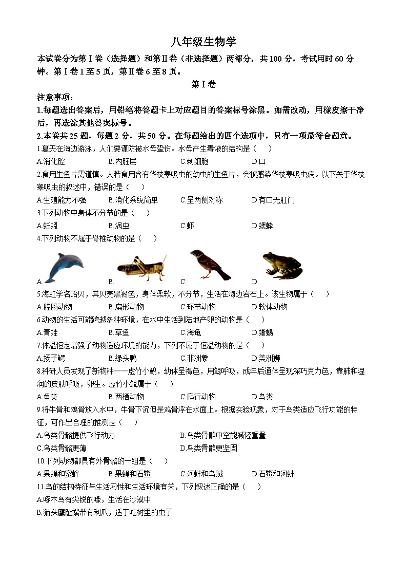 天津市河西区2024-2025学年八年级上学期期中生物试题01
