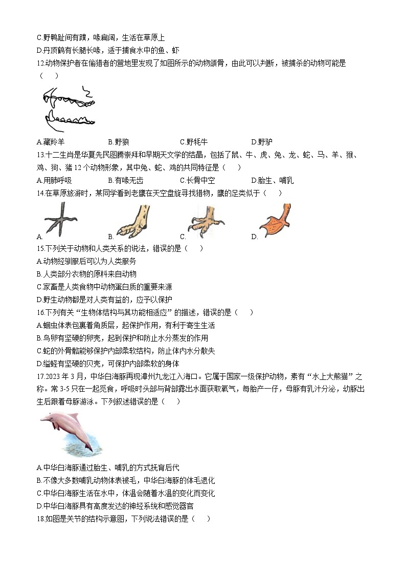 天津市河西区2024-2025学年八年级上学期期中生物试题02