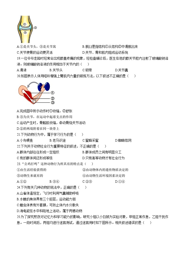 天津市河西区2024-2025学年八年级上学期期中生物试题03