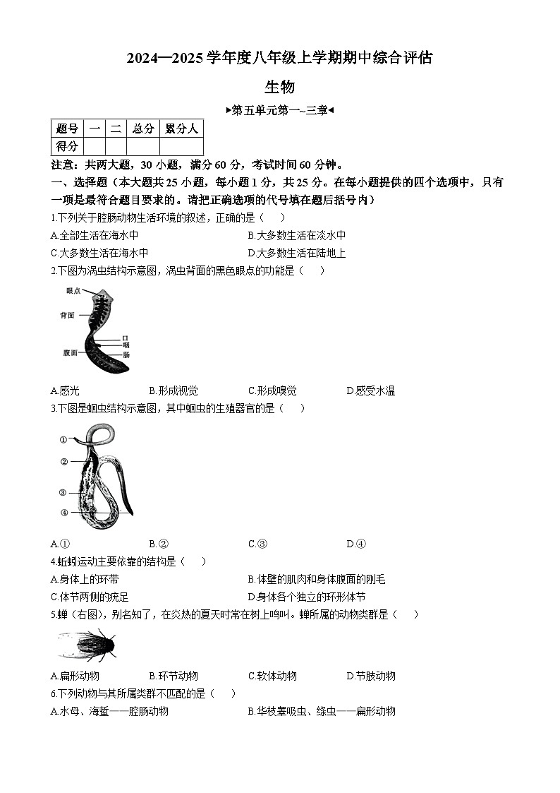 河北省邢台英华教育集团2024-2025学年八年级上学期期中生物试题第1页