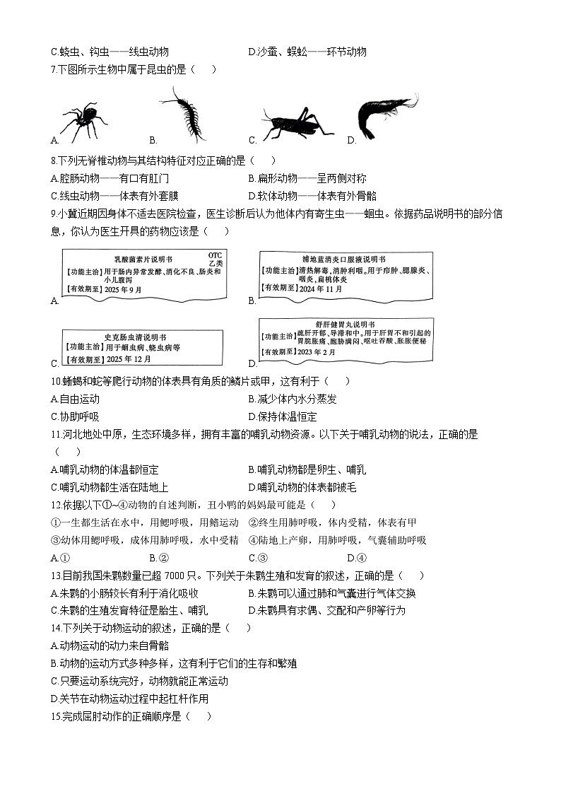河北省邢台英华教育集团2024-2025学年八年级上学期期中生物试题第2页