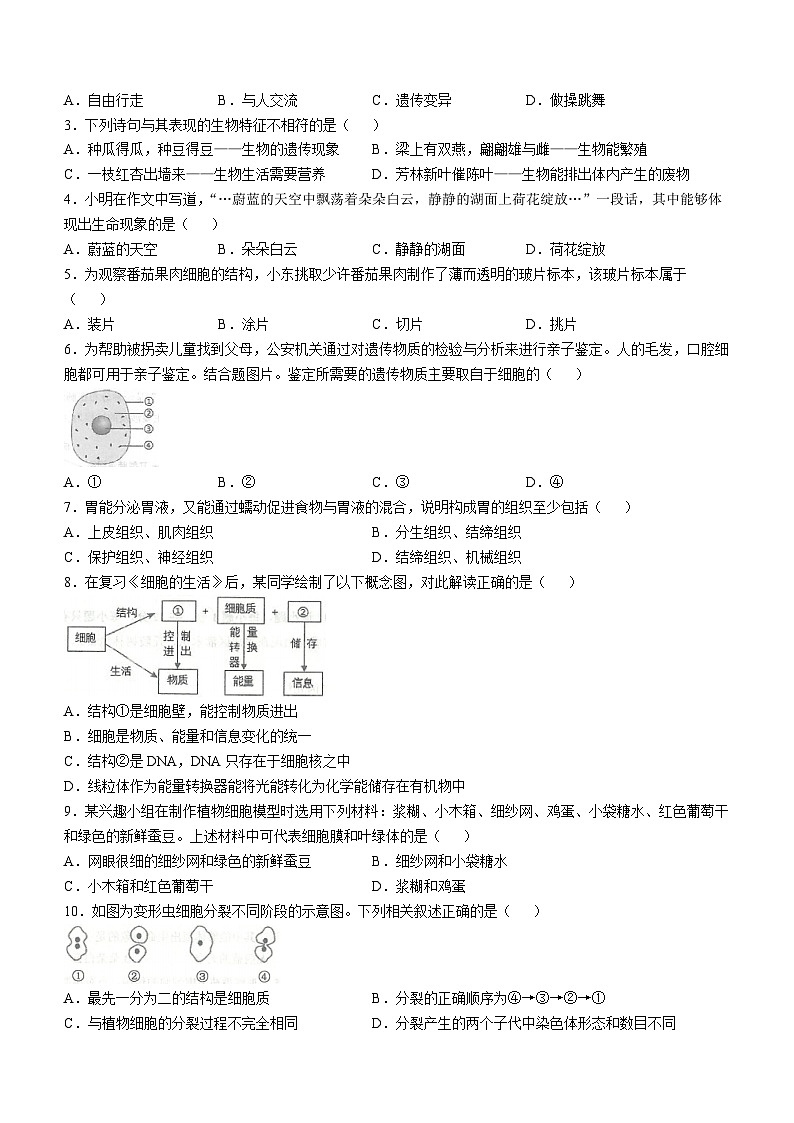 辽宁省大连市金州区2024-2025学年七年级上学期期中生物试题第2页
