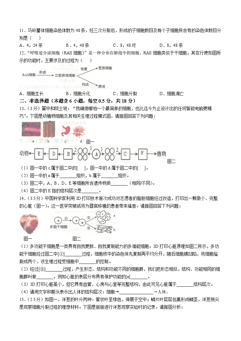 辽宁省大连市金州区2024-2025学年七年级上学期期中生物试题第3页