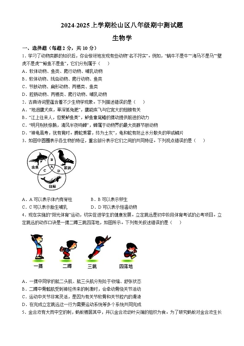 内蒙古赤峰市松山区2024-2025学年八年级上学期期中生物试题01