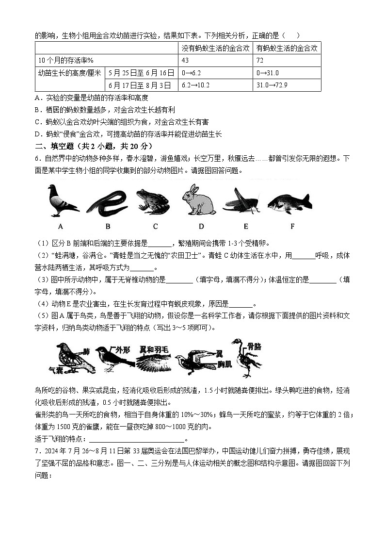 内蒙古赤峰市松山区2024-2025学年八年级上学期期中生物试题02