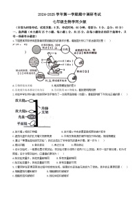 河北省保定市順平縣2024-2025學年七年級上學期期中生物試題