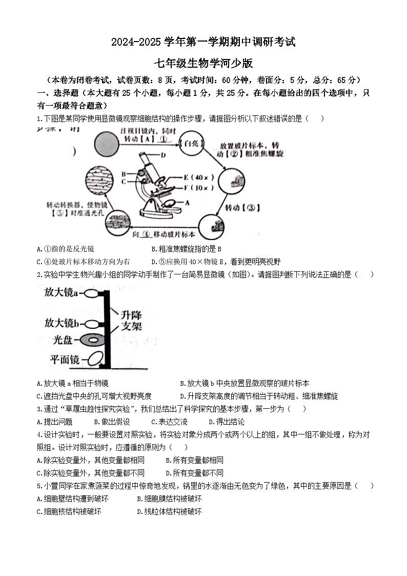 河北省保定市顺平县2024-2025学年七年级上学期期中生物试题第1页